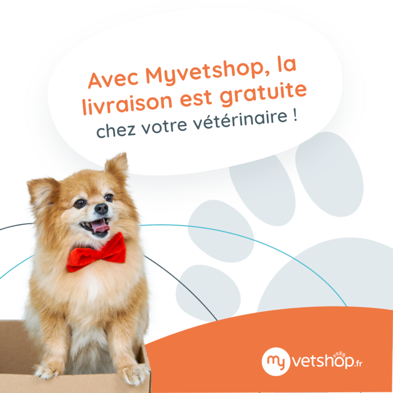 livraison gratuite